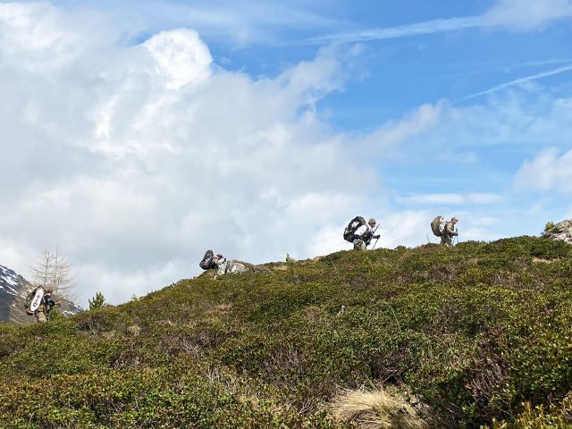 Bildgröße auf die Monitorauflösung (640x480 px) optimiert