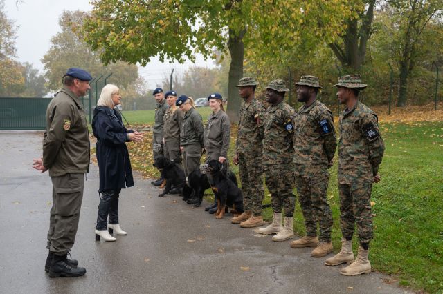 Bildgr&ouml;&szlig;e auf die Monitoraufl&ouml;sung (640x480 px) optimiert