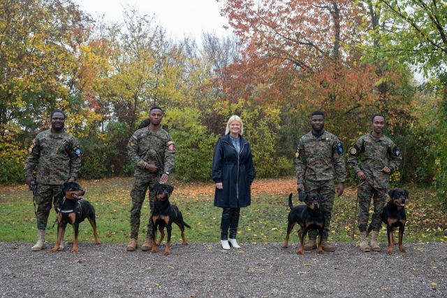 Bildgr&ouml;&szlig;e auf die Monitoraufl&ouml;sung (640x480 px) optimiert