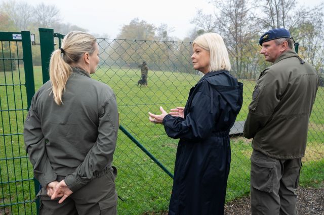 Bildgr&ouml;&szlig;e auf die Monitoraufl&ouml;sung (640x480 px) optimiert