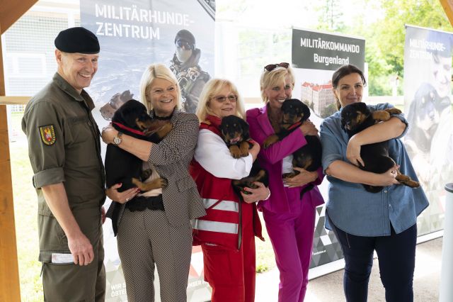 Bildgröße auf die Monitorauflösung (640x480 px) optimiert