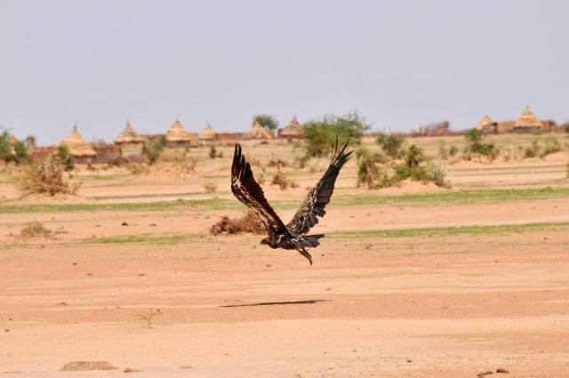 Bildgröße auf die Monitorauflösung (640x480 px) optimiert