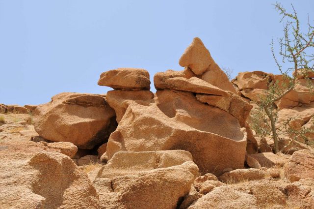 Bildgröße auf die Monitorauflösung (640x480 px) optimiert