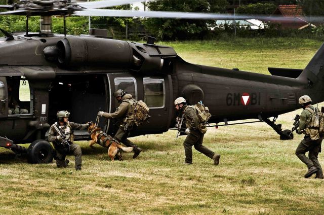 Bildgr&ouml;&szlig;e auf die Monitoraufl&ouml;sung (640x480 px) optimiert