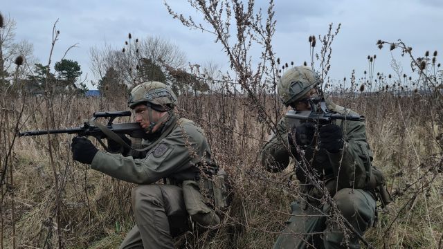 Bildgröße auf die Monitorauflösung (640x480 px) optimiert