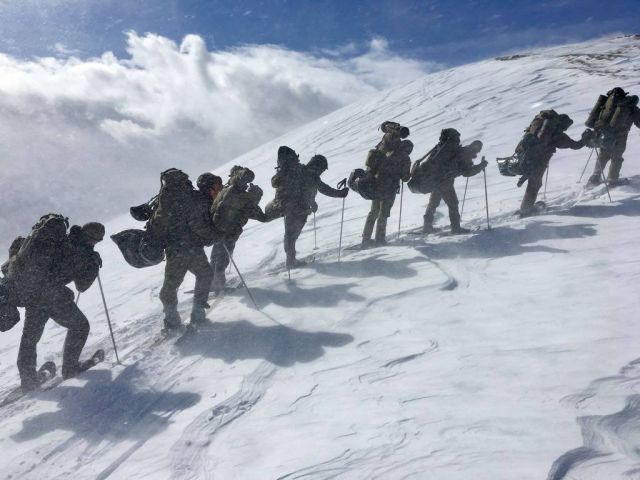 Bildgröße auf die Monitorauflösung (640x480 px) optimiert