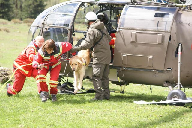 Bildgröße auf die Monitorauflösung (640x480 px) optimiert