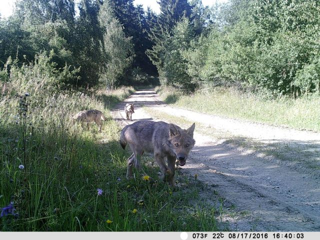 Bildgr&ouml;&szlig;e auf die Monitoraufl&ouml;sung (640x480 px) optimiert