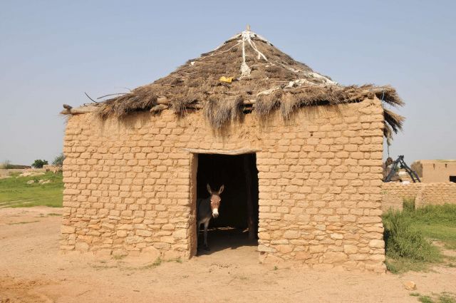 Bildgröße auf die Monitorauflösung (640x480 px) optimiert