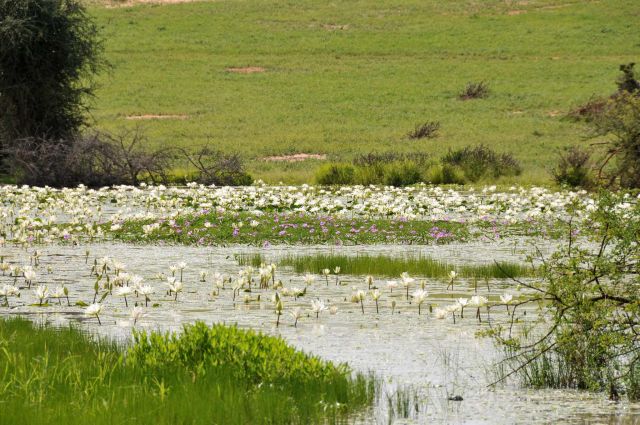 Bildgröße auf die Monitorauflösung (640x480 px) optimiert