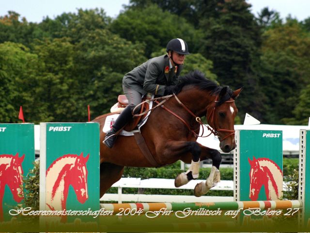 Bildgröße auf die Monitorauflösung (640x480 px) optimiert