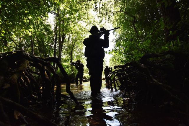 Bildgröße auf die Monitorauflösung (640x480 px) optimiert