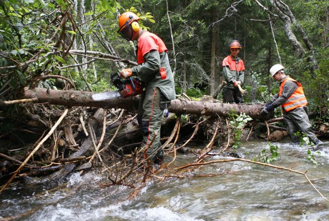 Bildgr&ouml;&szlig;e auf die Monitoraufl&ouml;sung (640x480 px) optimiert