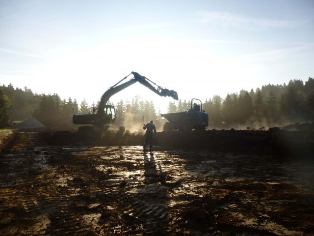 Bildgröße auf die Monitorauflösung (640x480 px) optimiert