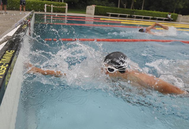 Bildgröße auf die Monitorauflösung (640x480 px) optimiert