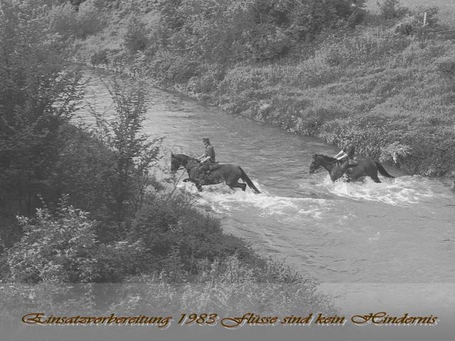 Bildgröße auf die Monitorauflösung (640x480 px) optimiert