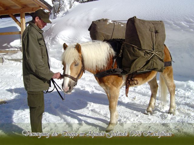 Bildgröße auf die Monitorauflösung (640x480 px) optimiert