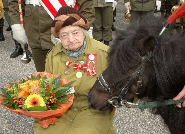 Bildgröße auf die Monitorauflösung (640x480 px) optimiert