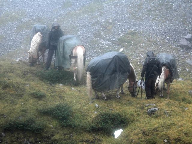 Bildgröße auf die Monitorauflösung (640x480 px) optimiert