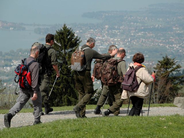 Bildgröße auf die Monitorauflösung (640x480 px) optimiert