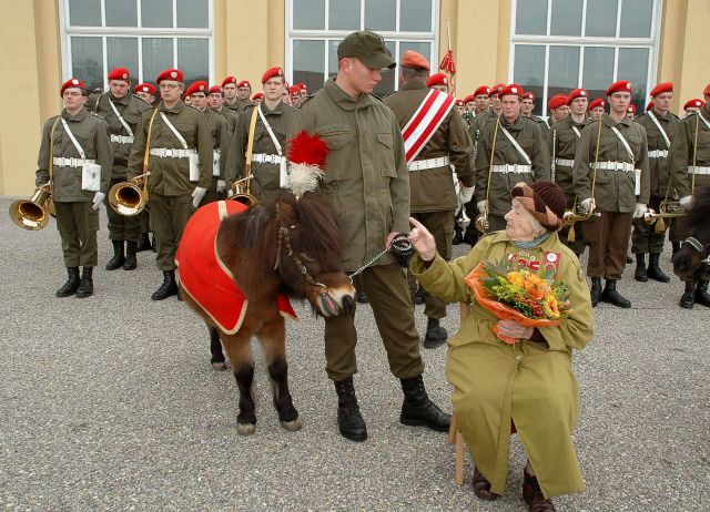 Bildgröße auf die Monitorauflösung (640x480 px) optimiert