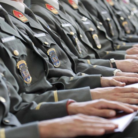 Bildgröße auf die Monitorauflösung (640x480 px) optimiert