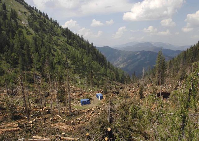 Bildgr&ouml;&szlig;e auf die Monitoraufl&ouml;sung (640x480 px) optimiert