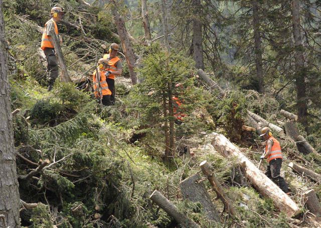 Bildgröße auf die Monitorauflösung (640x480 px) optimiert