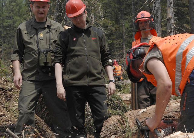 Bildgröße auf die Monitorauflösung (640x480 px) optimiert