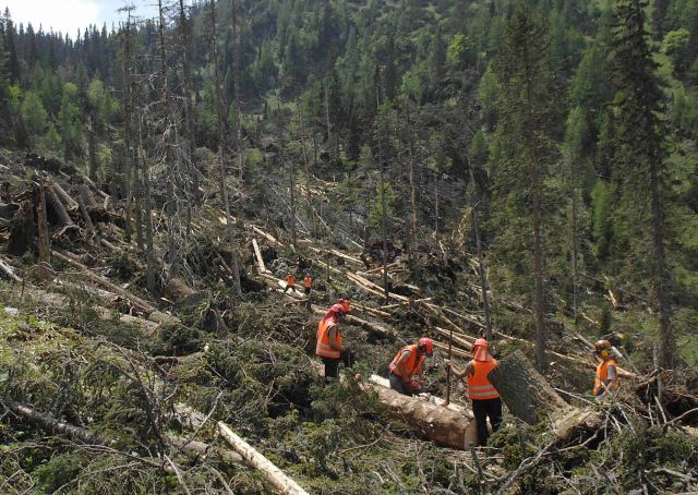 Bildgröße auf die Monitorauflösung (640x480 px) optimiert