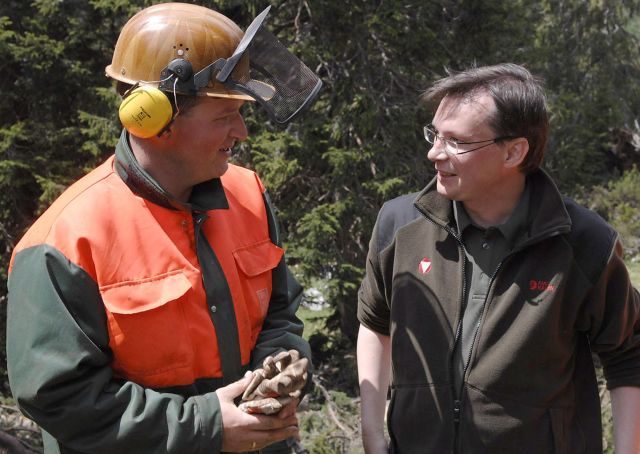 Bildgröße auf die Monitorauflösung (640x480 px) optimiert