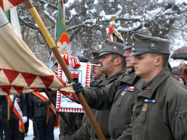 Bildgröße auf die Monitorauflösung (640x480 px) optimiert