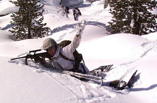 Bildgröße auf die Monitorauflösung (640x480 px) optimiert