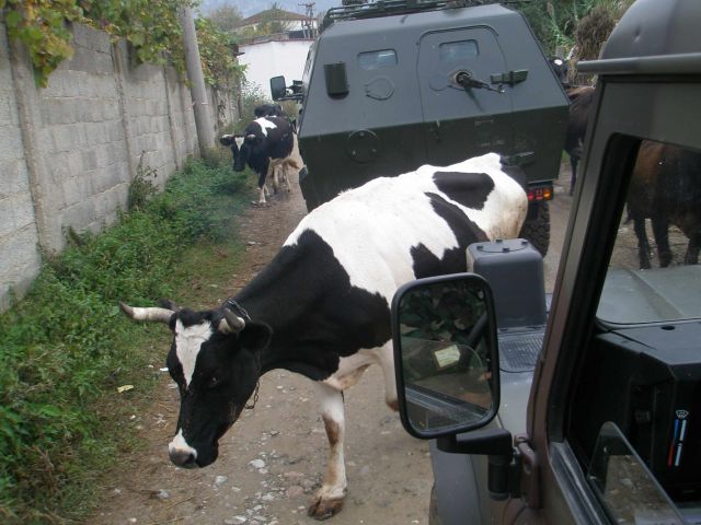 Bildgr&ouml;&szlig;e auf die Monitoraufl&ouml;sung (640x480 px) optimiert