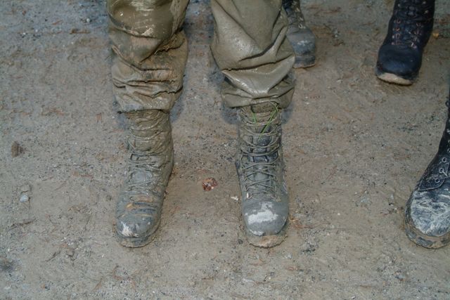 Bildgröße auf die Monitorauflösung (640x480 px) optimiert