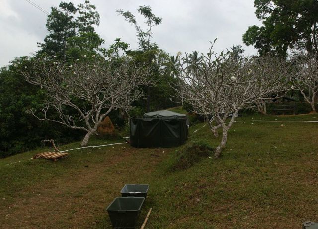 Bildgröße auf die Monitorauflösung (640x480 px) optimiert