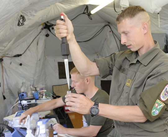 Bildgröße auf die Monitorauflösung (640x480 px) optimiert