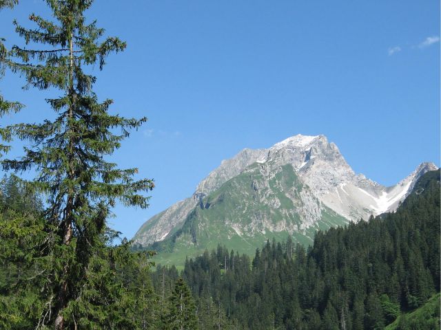 Bildgröße auf die Monitorauflösung (640x480 px) optimiert