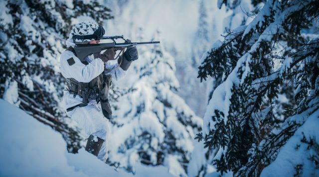 Bildgröße auf die Monitorauflösung (640x480 px) optimiert