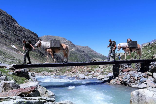 Bildgröße auf die Monitorauflösung (640x480 px) optimiert