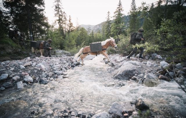 Bildgröße auf die Monitorauflösung (640x480 px) optimiert