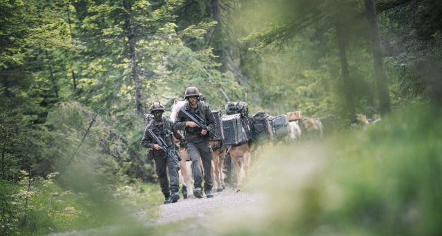 Bildgröße auf die Monitorauflösung (640x480 px) optimiert