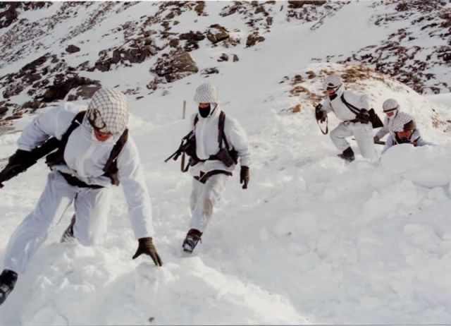 Bildgröße auf die Monitorauflösung (640x480 px) optimiert