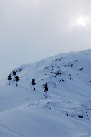 Bildgröße auf die Monitorauflösung (640x480 px) optimiert