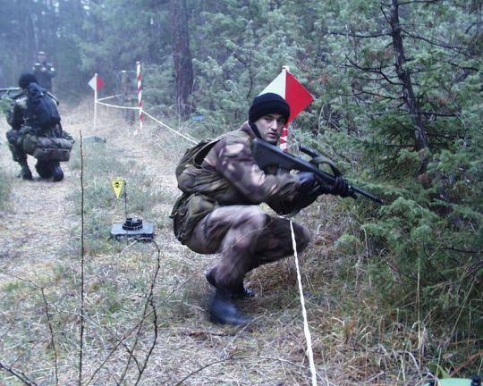 Bildgr&ouml;&szlig;e auf die Monitoraufl&ouml;sung (640x480 px) optimiert