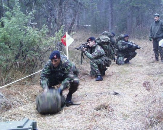 Bildgr&ouml;&szlig;e auf die Monitoraufl&ouml;sung (640x480 px) optimiert