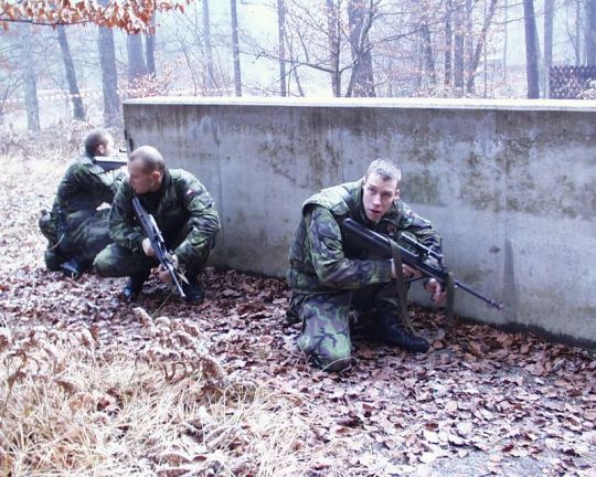 Bildgröße auf die Monitorauflösung (640x480 px) optimiert