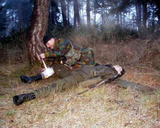 Bildgr&ouml;&szlig;e auf die Monitoraufl&ouml;sung (640x480 px) optimiert