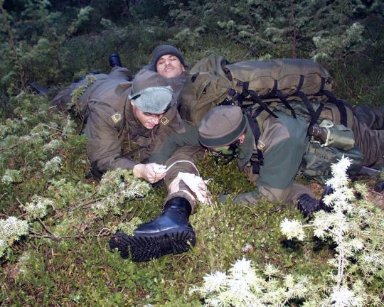 Bildgröße auf die Monitorauflösung (640x480 px) optimiert