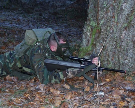 Bildgr&ouml;&szlig;e auf die Monitoraufl&ouml;sung (640x480 px) optimiert